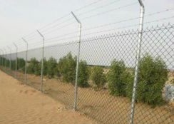 شبوك مزراع